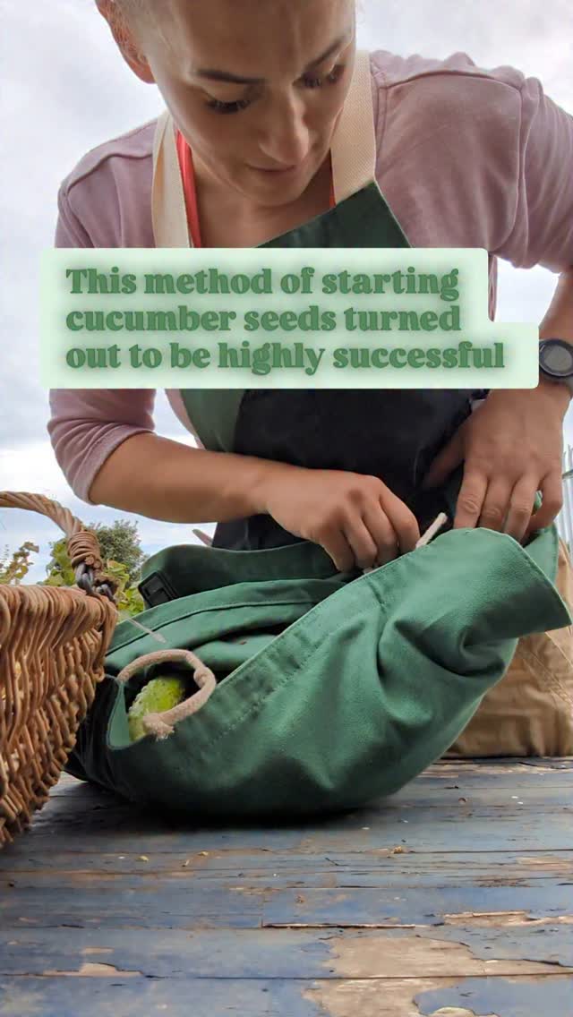 Growing seedlings has never been easier or more efficient! With the ...