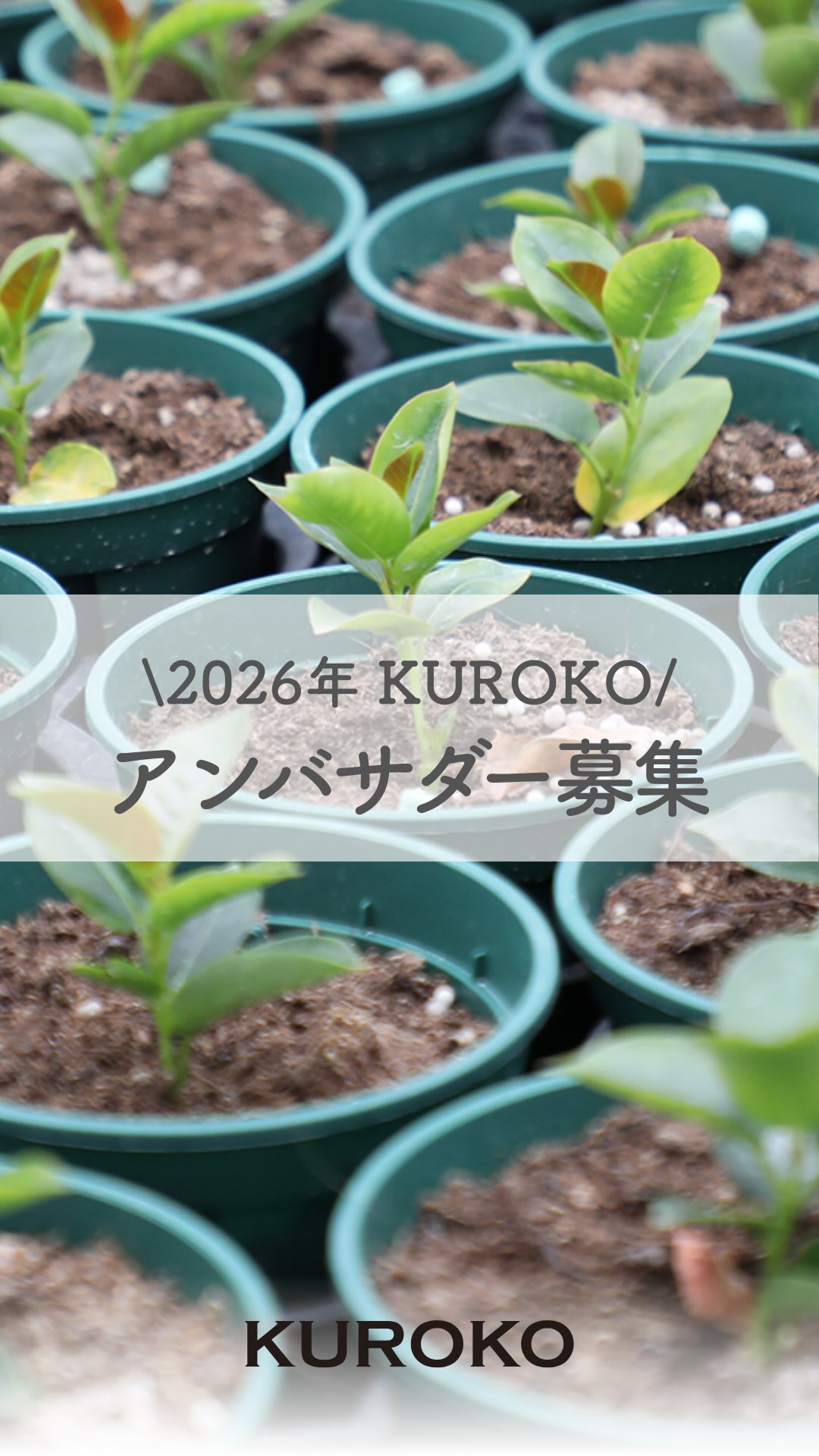 Kuroko (@KUROKOkaneya) • Facebook