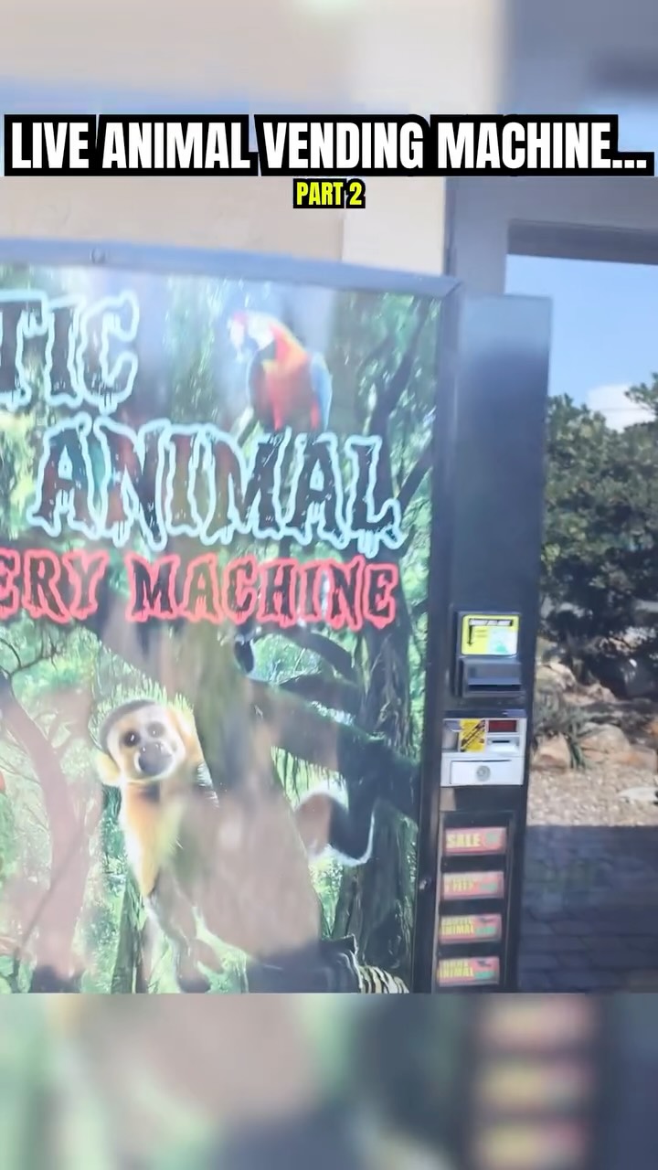 I found a live animals vending machine… part 2 of 12! | RAWWFishing ...