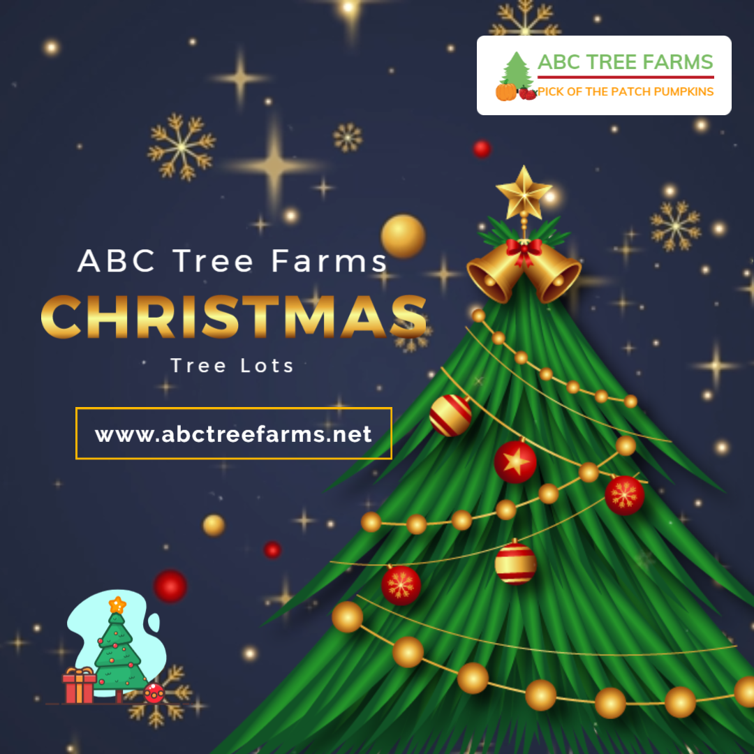 ABC Tree Farms & Pick of the Patch Pumpkins San Lorenzo | San Lorenzo CA