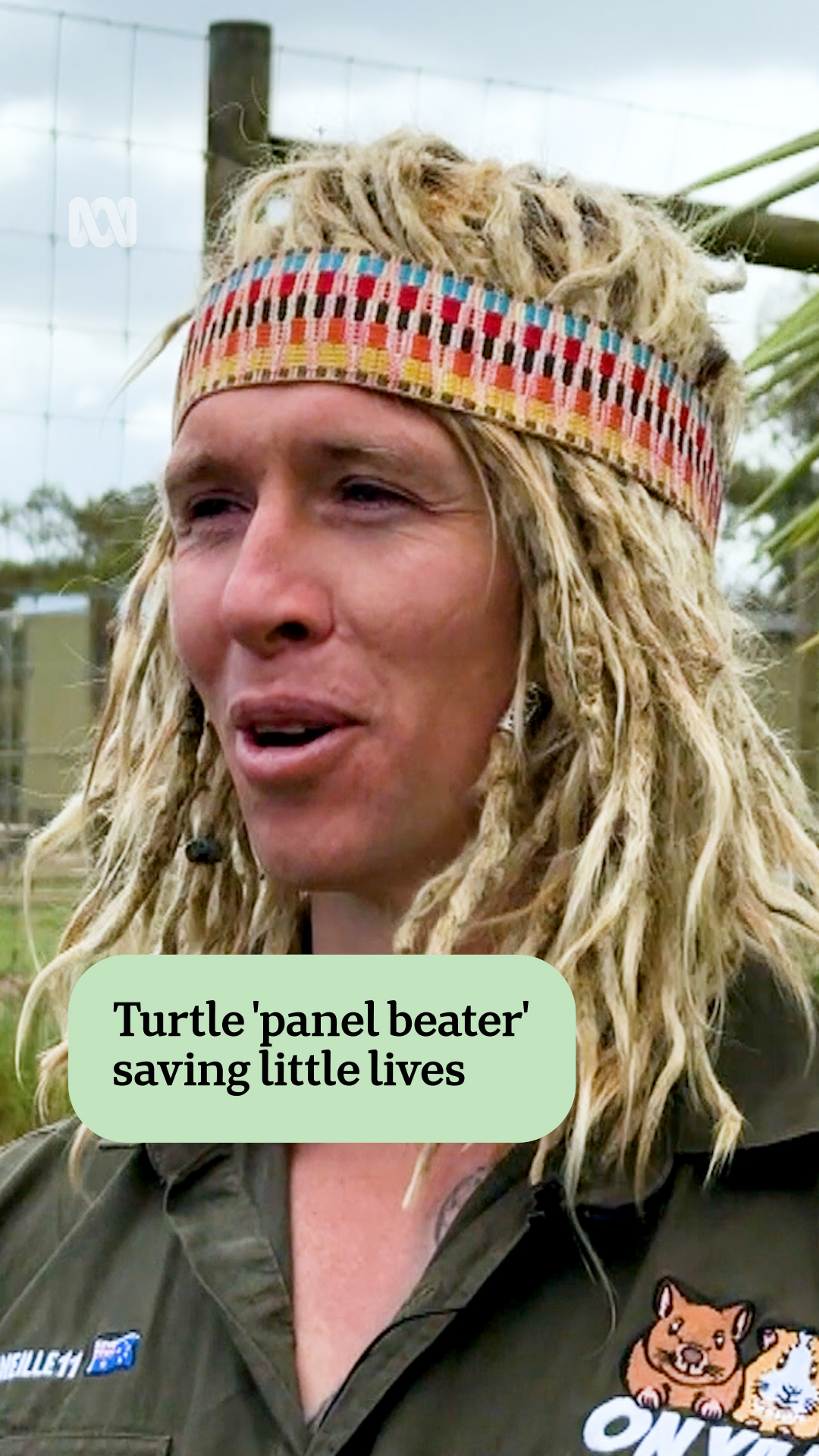 In Victoria's east, turtles aren't just crossing roads, they're ...