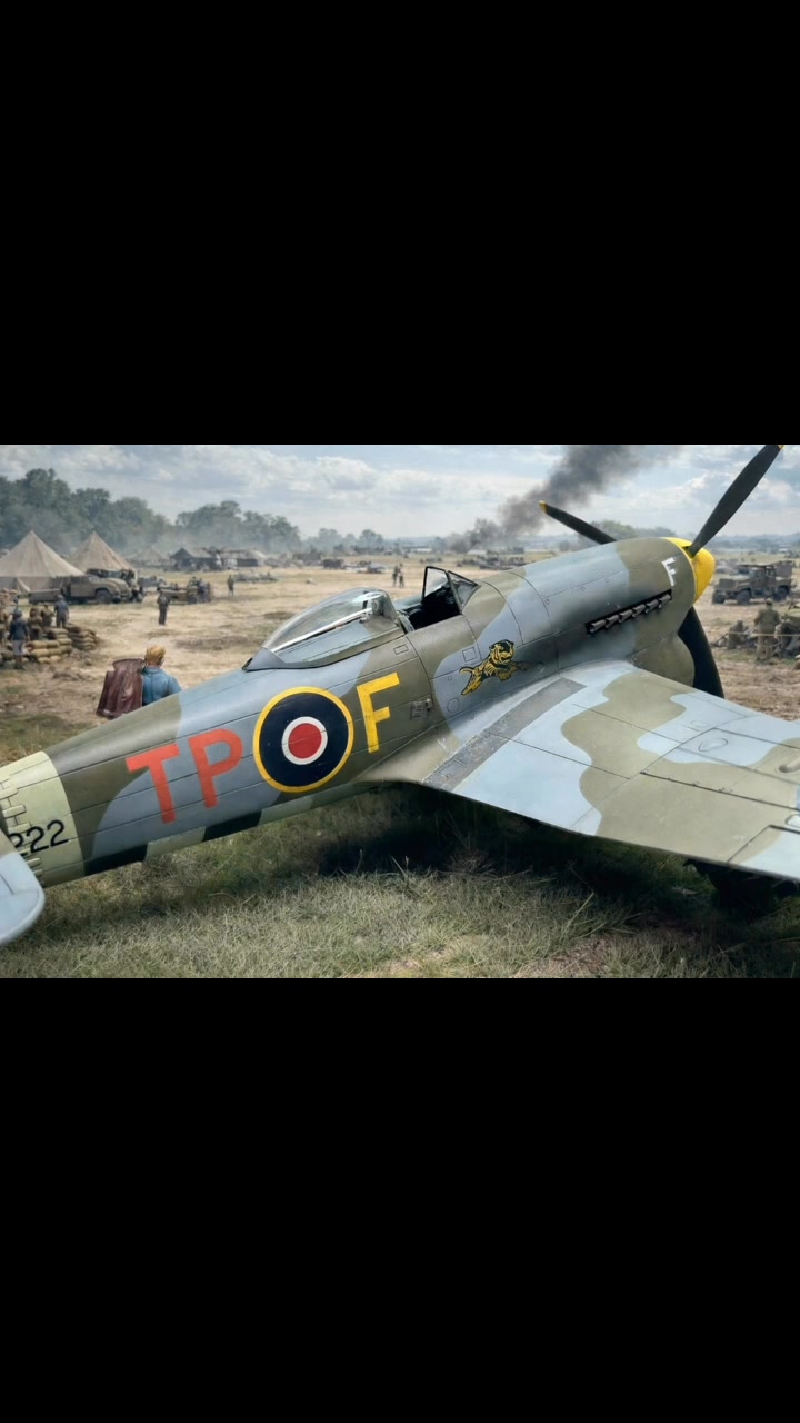 Mt. Eden Modelworks 2020