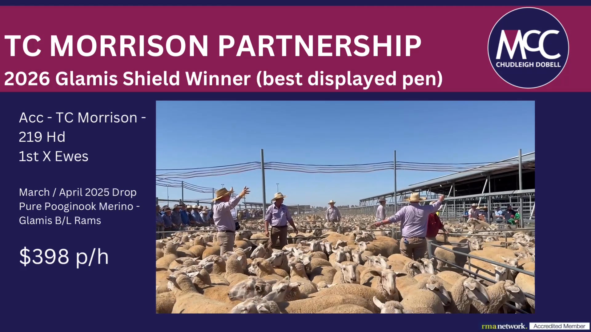 Glamis Shield WINNER -47th Annual 1st X Ewe Sale- CWLE Forbes- Thurs ...
