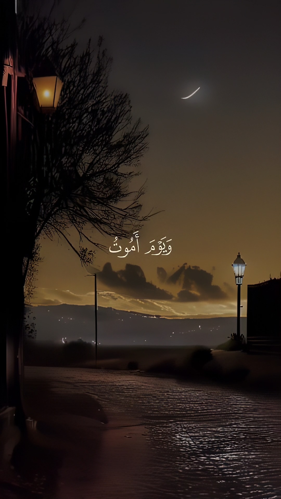 تلاوة هادئة تريح الأعصاب 💚 استمع… ودع السكينة تعانق روحك 🤍 #قرآن_كريم # ...