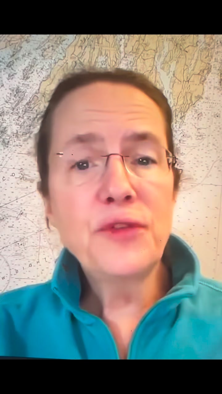Heather Cox Richardson during her podcast said - If this doesn’t sound ...