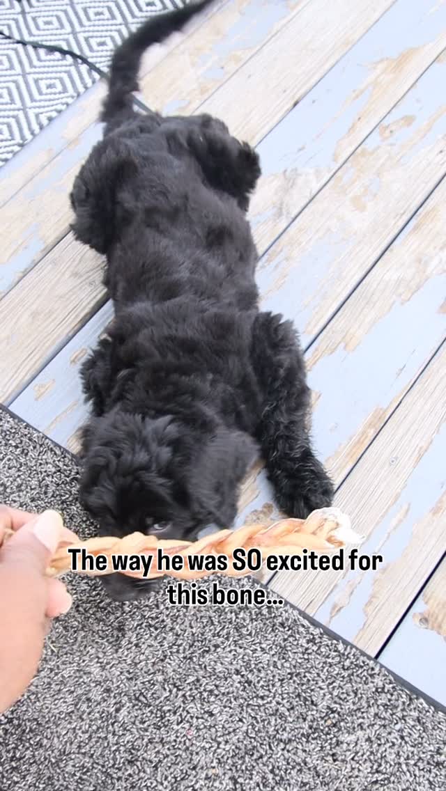 Not the EXCITEMENT turning into a wipeout 😭🔥 #rizzthegoldendoodle # ...