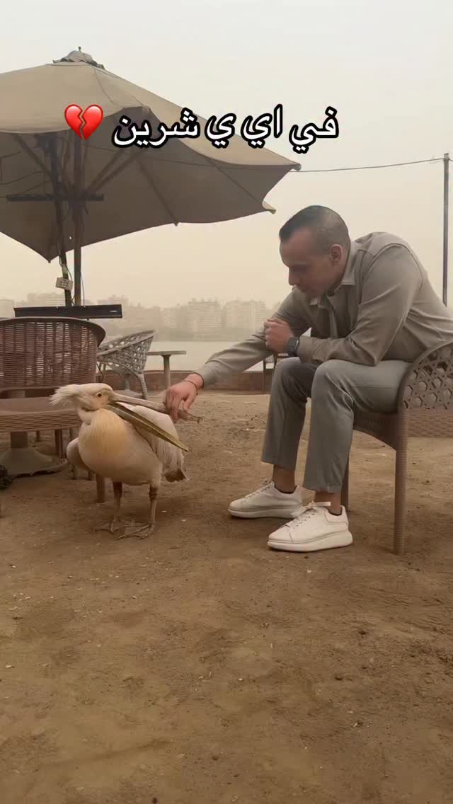 في اي ي شرين 💔 | Yassin G. El Maghrby | Facebook