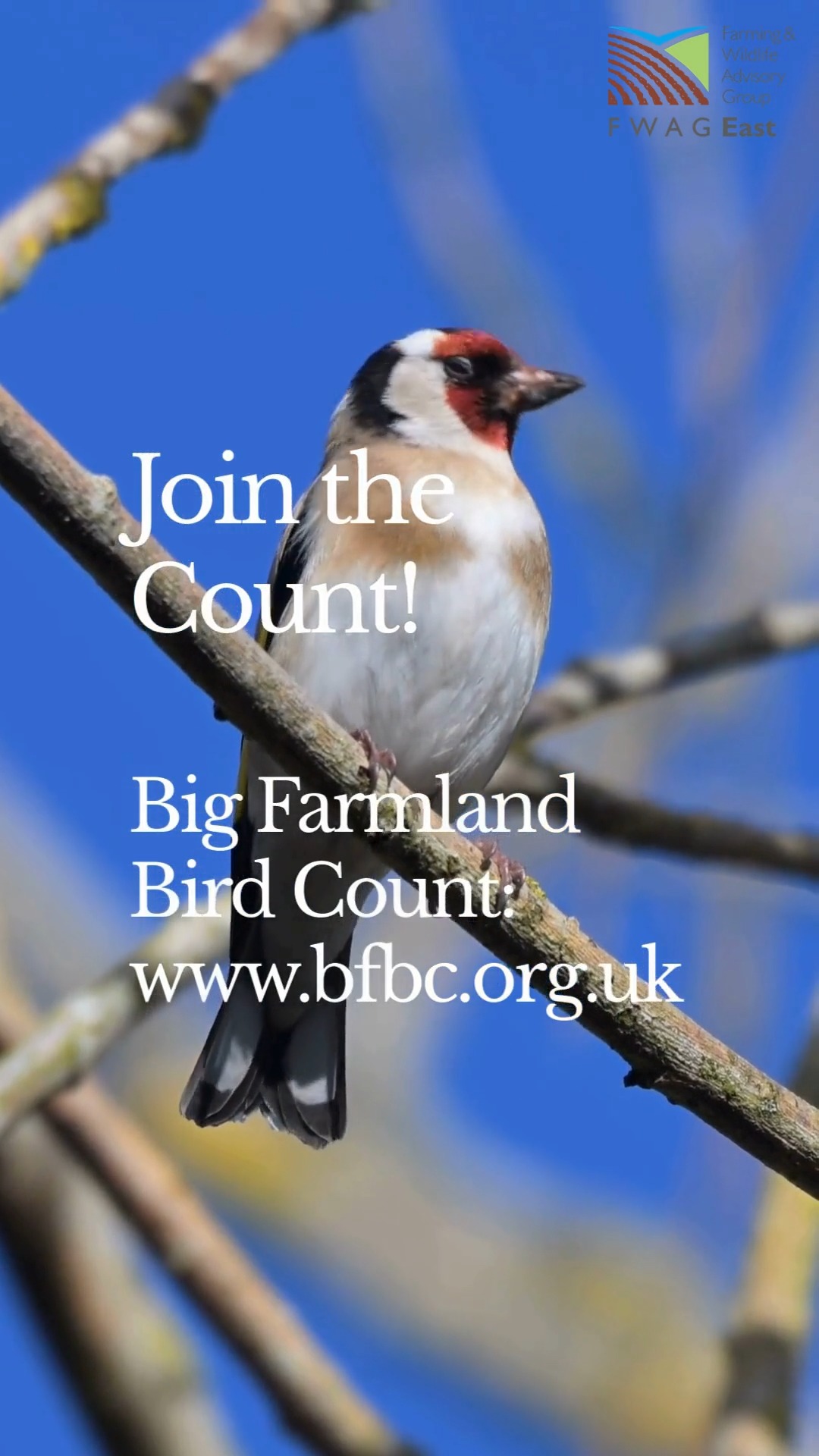 Don’t miss out! The Big Farmland Bird Count ends Sunday. Grab a cuppa ...