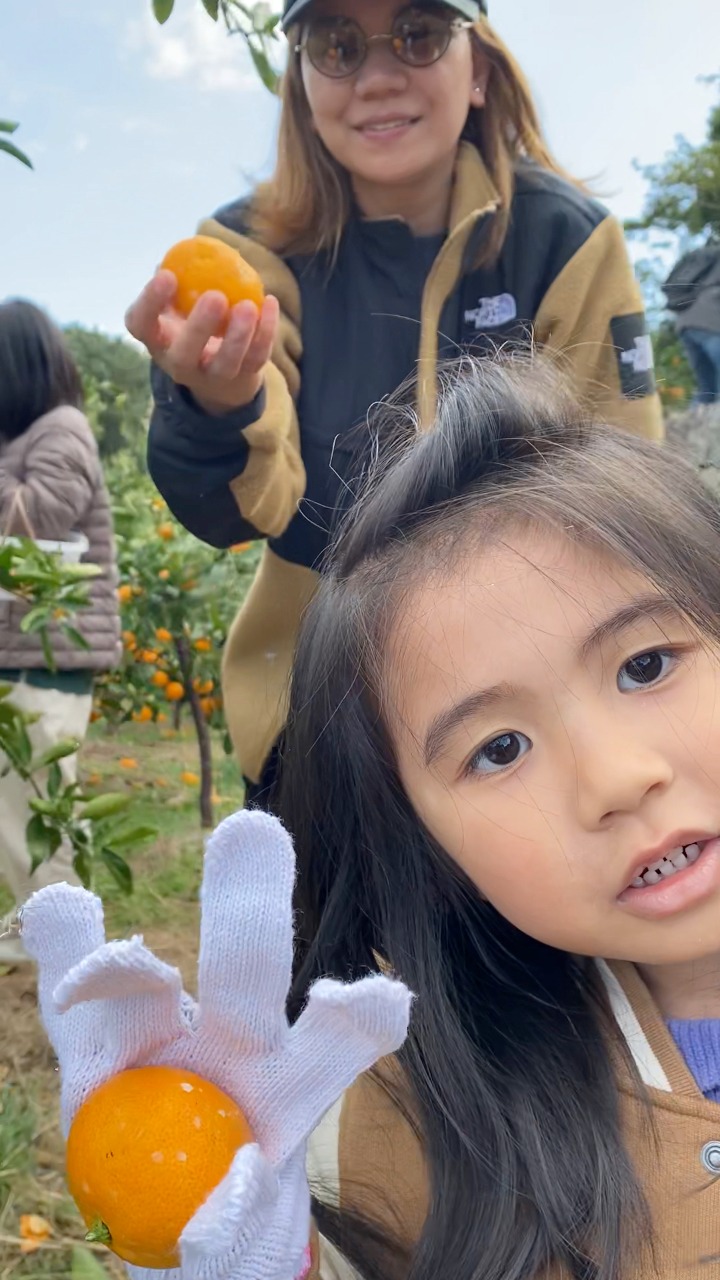 What is mikan, a type of satsuma orange