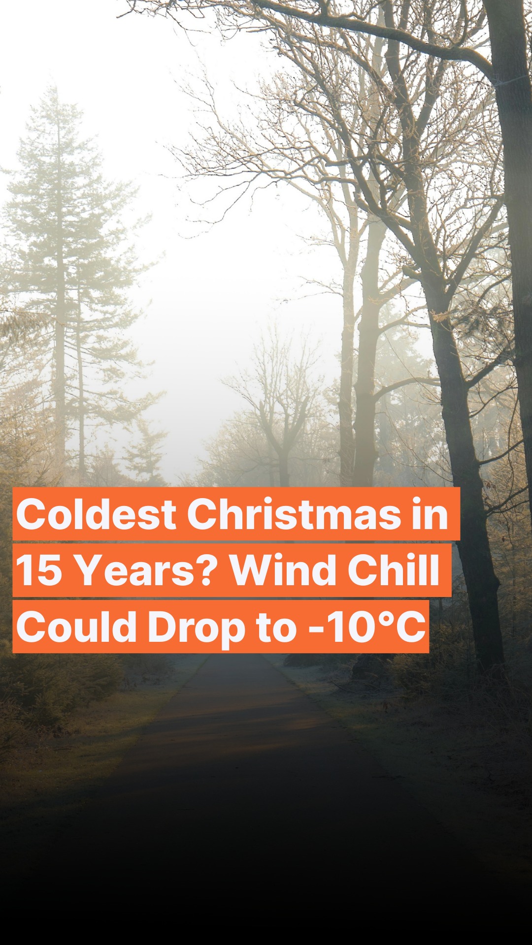 Christmas in the Netherlands could feel exceptionally cold this year ...