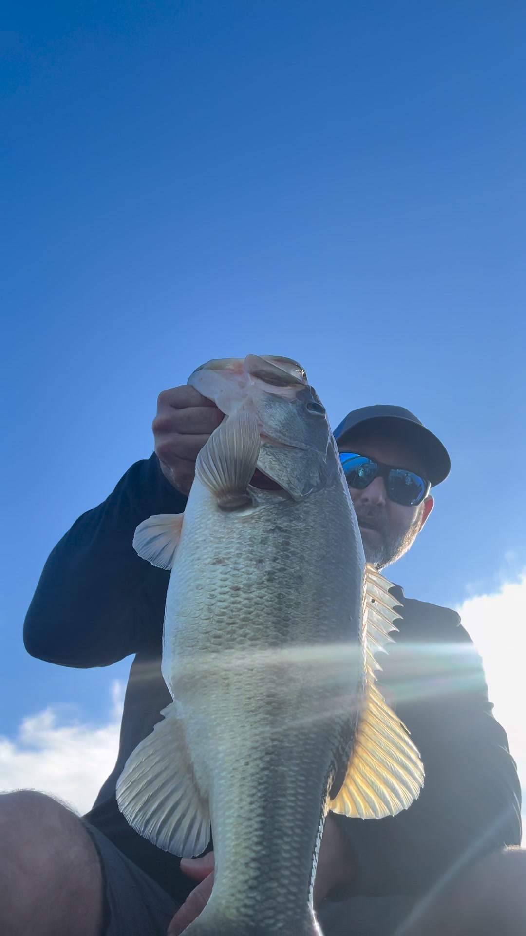 Good Ol’ cheater box strikes again! #ScopinNotHopin #minnow #livescope ...