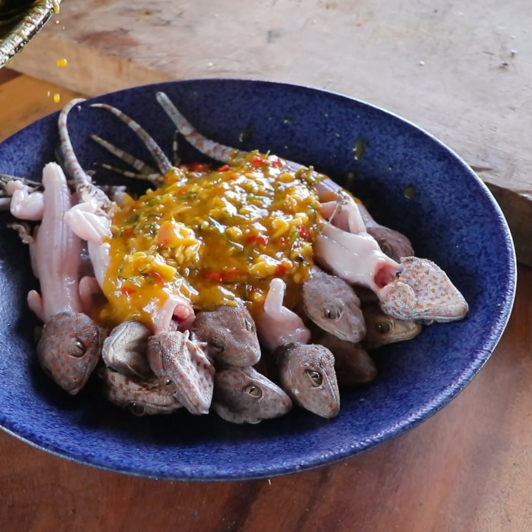 OMG! Gecko Grill Recipe 😮 | Wilderness Food | Facebook