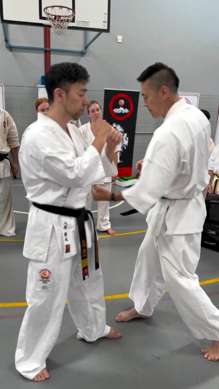 WKO Shinkyokushinkai Karate Japan. Kazufumi Shimamoto Dojo
