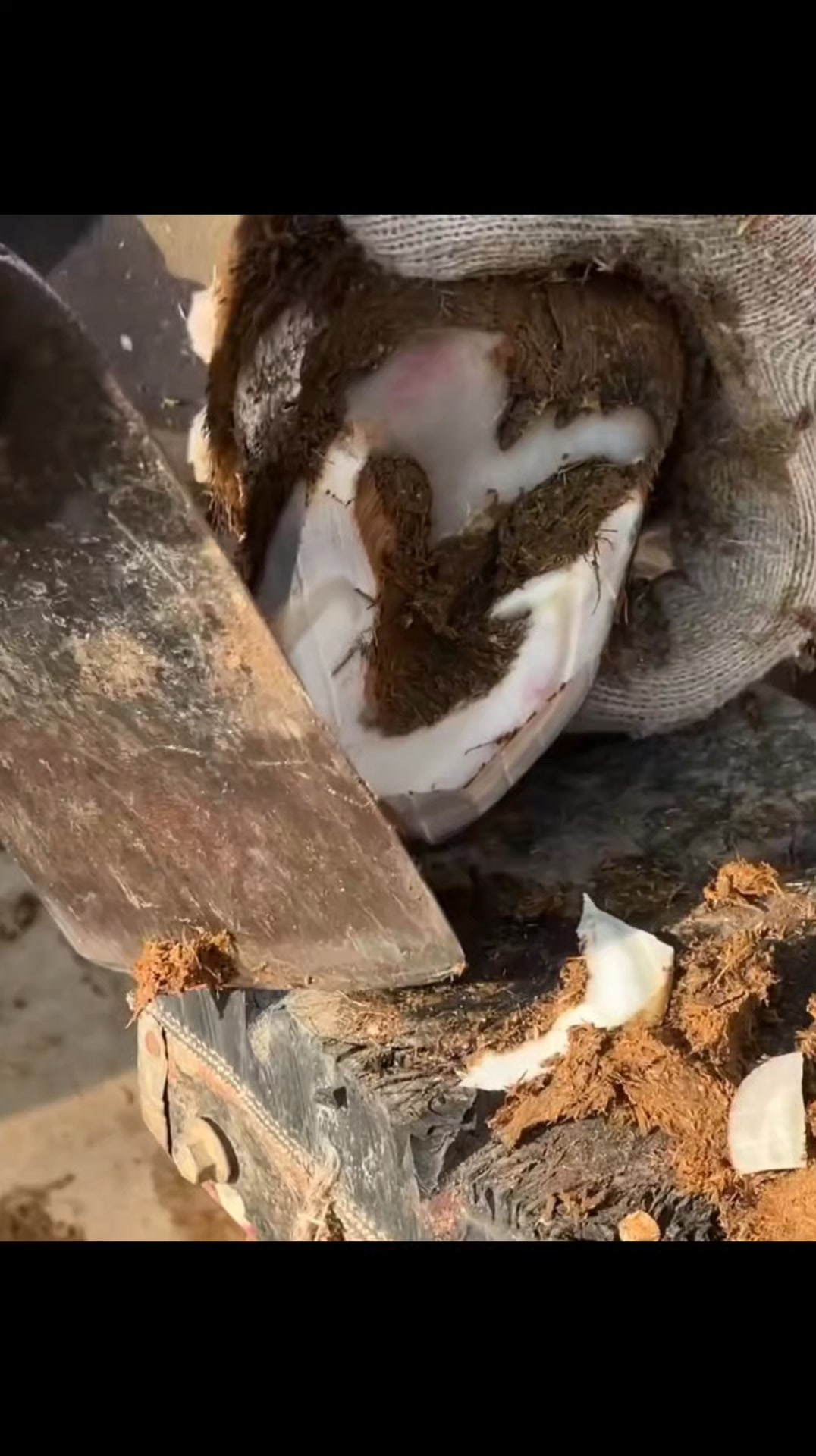 It's amazing 😍🤩 | sleep eat fisheries | Facebook