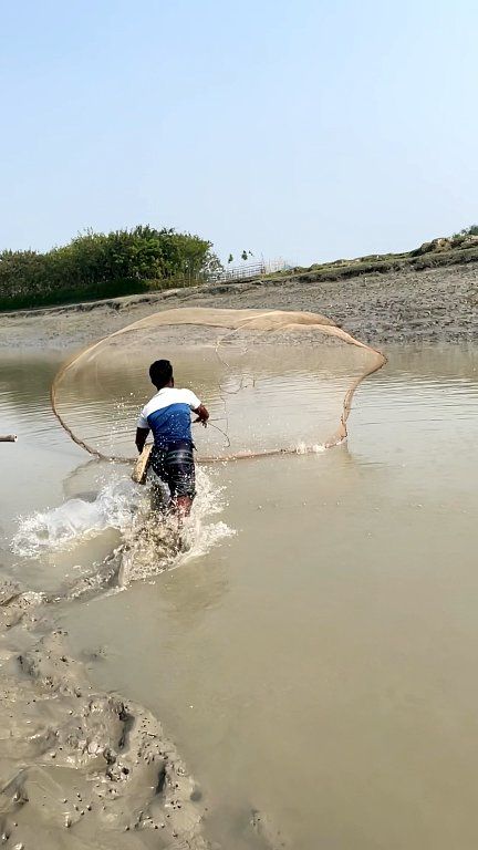Cast net fishing #fishinglife #villagefishing #fishingvideos # ...