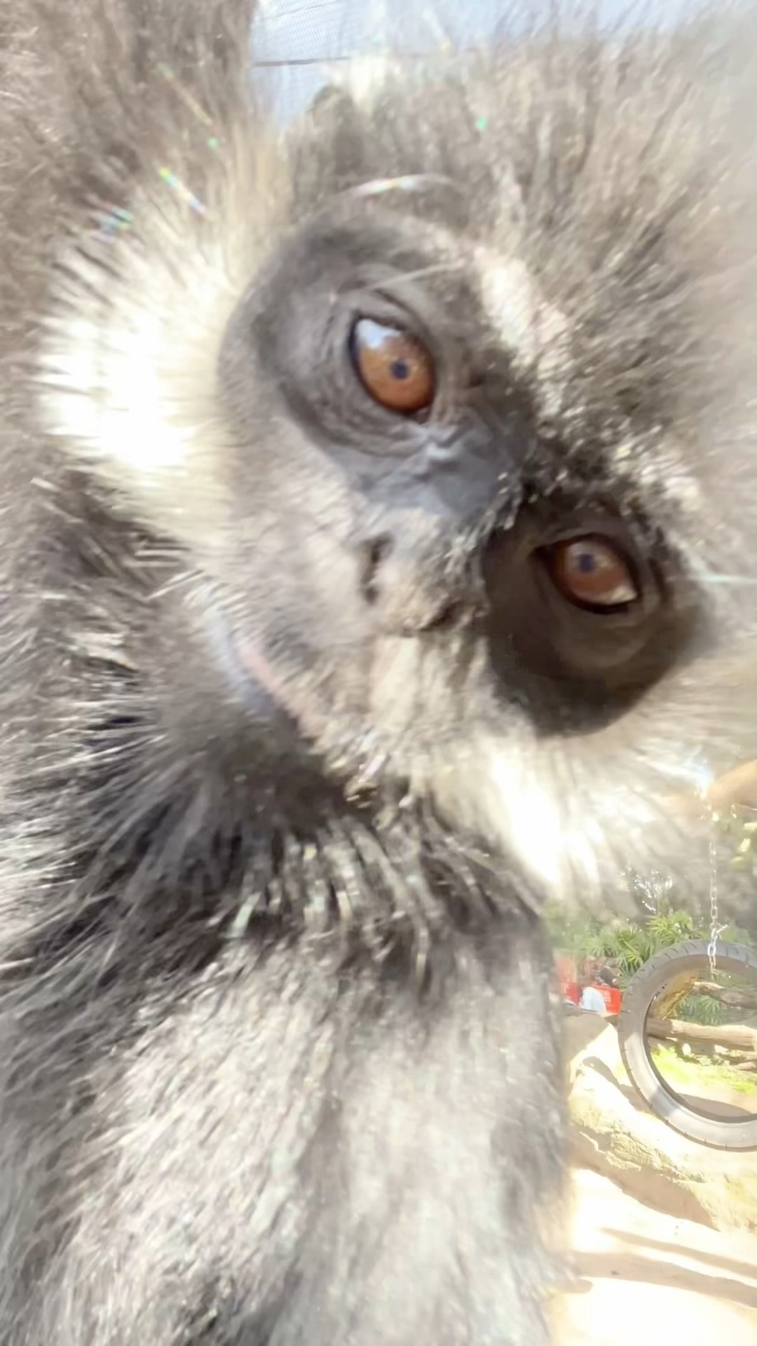 Someone smells like a wildlife hero! 👃 Did you know there are fewer ...