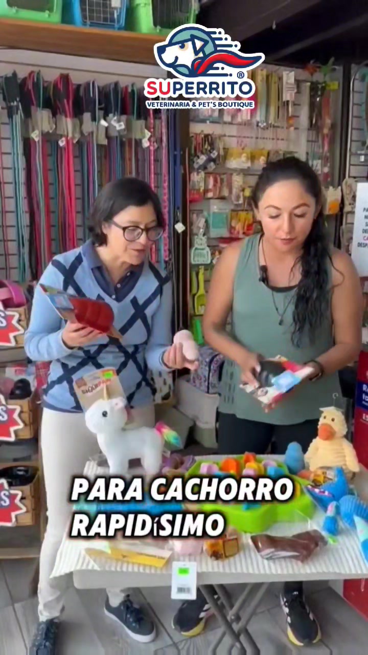 Les presentamos el antes y después de estos PERRITOS FIU FIU, que los ...