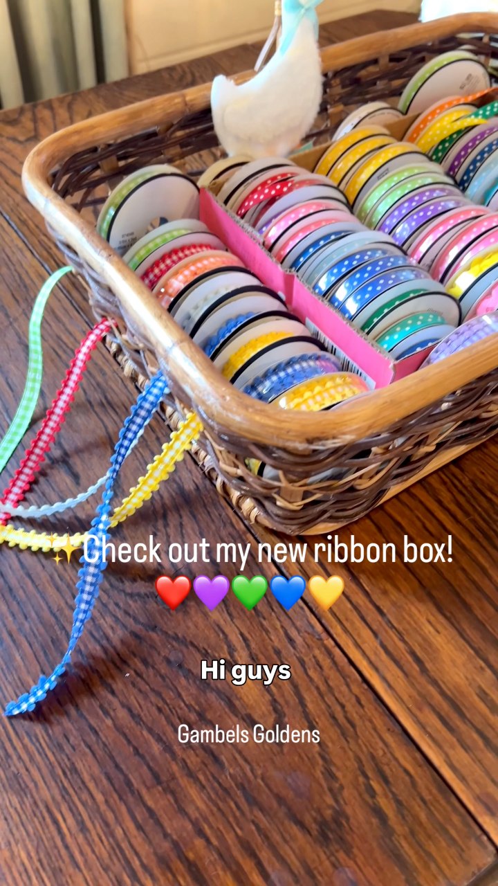 Loving my Puppy Ribbon Organizer… here is everything you need to know ...