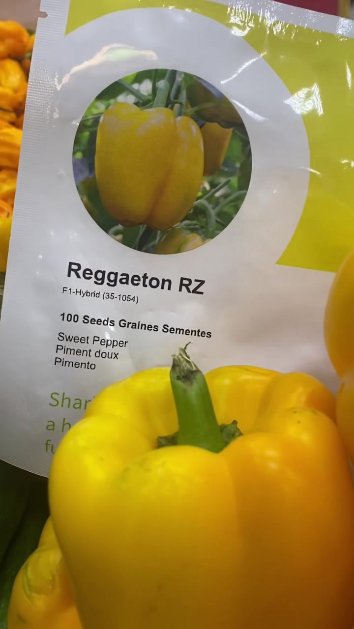 King of Bell Peppers 🫑 When it comes to the best bell pepper varieties ...