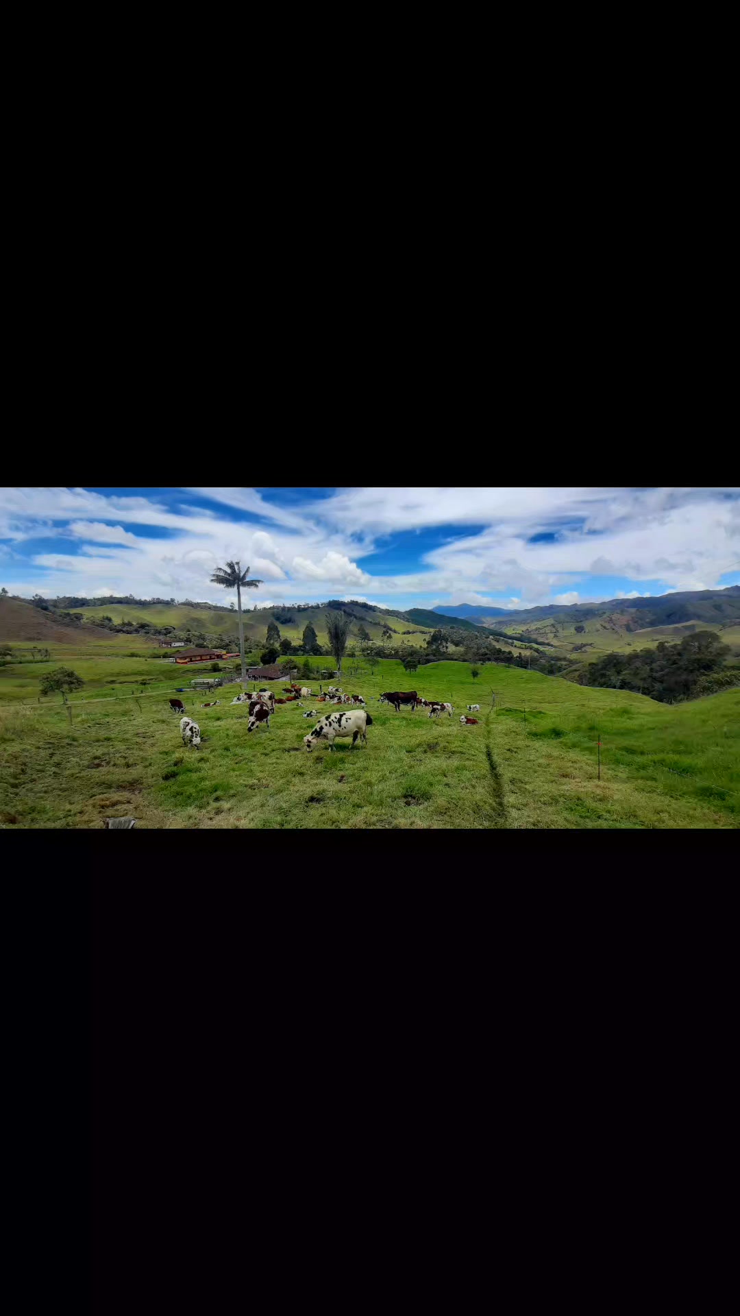 SE VENDE FINCA CAFETERA EN PÁCORA, DEPARTAMENTO DE CALDAS A 30 minutos ...