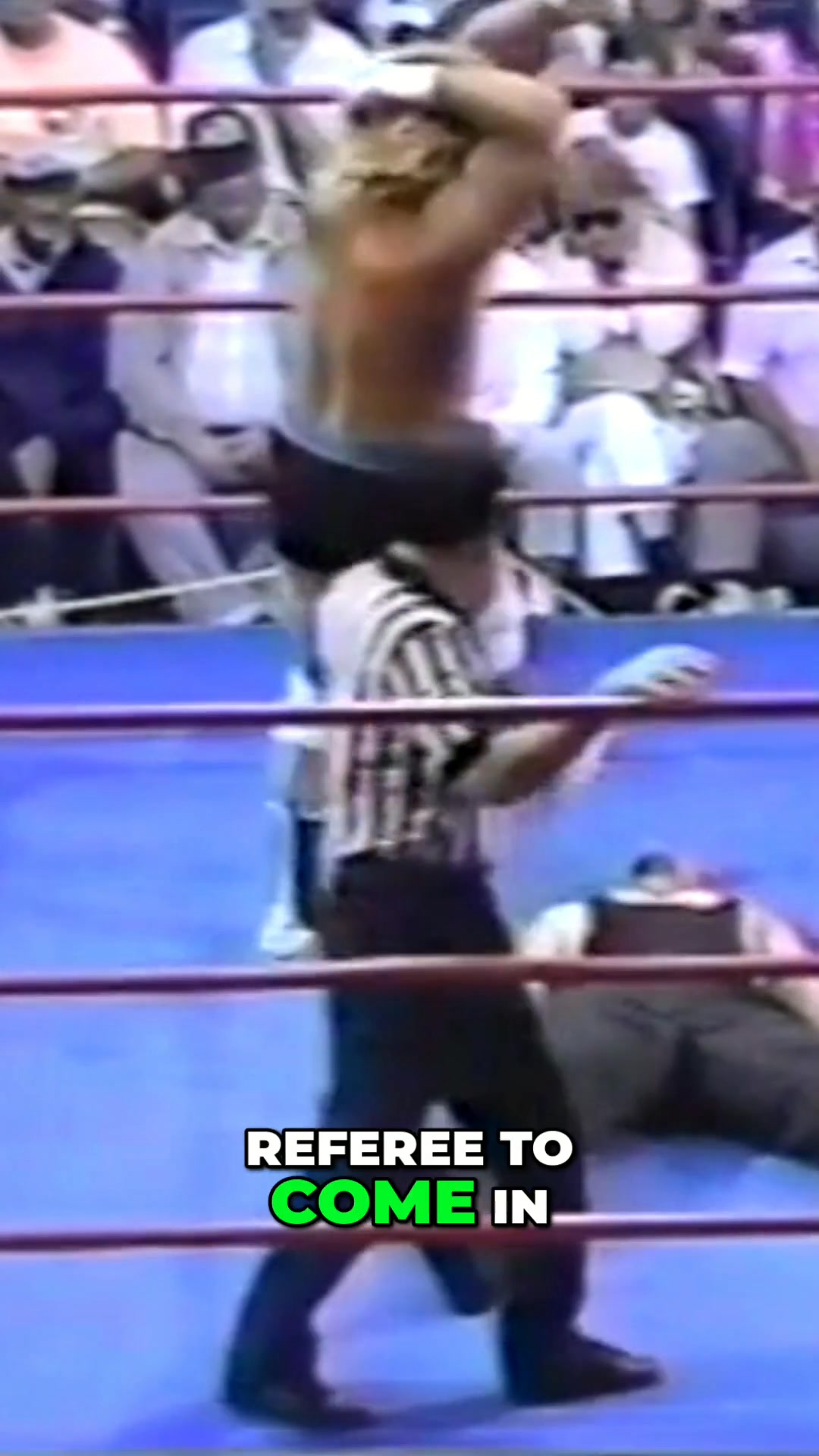 Dirty Dick Slater's Gives Brutal Wrestling Moves To Nasty Ned! Suncoast ...