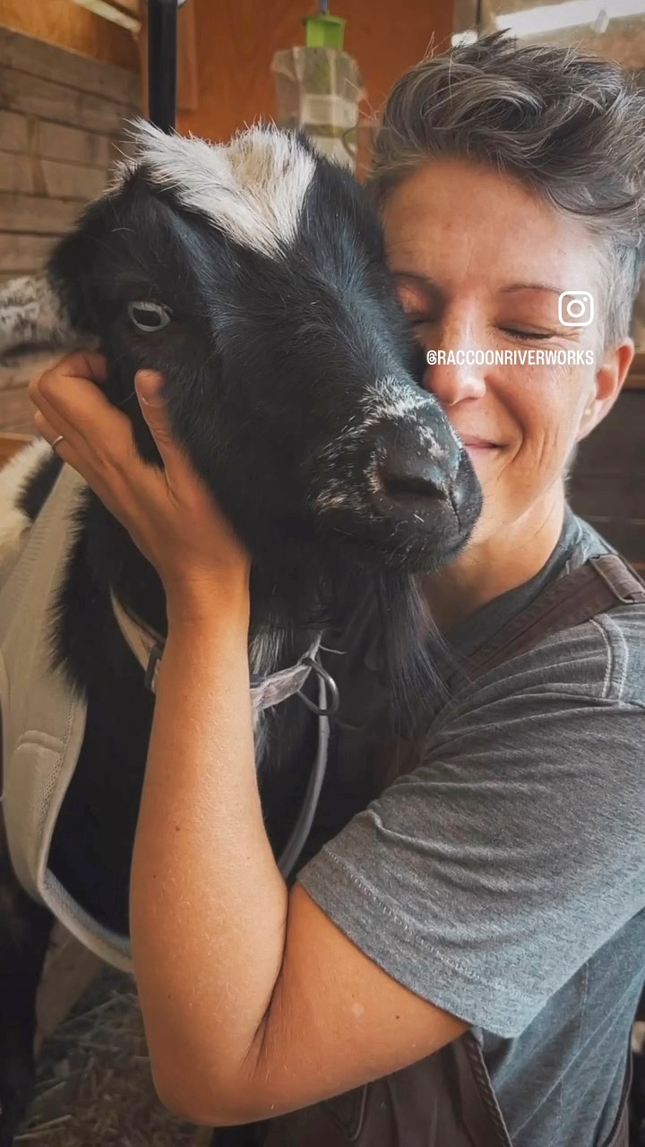 This baby loves goat milk and kindness. ❤️🐐your skin loves it