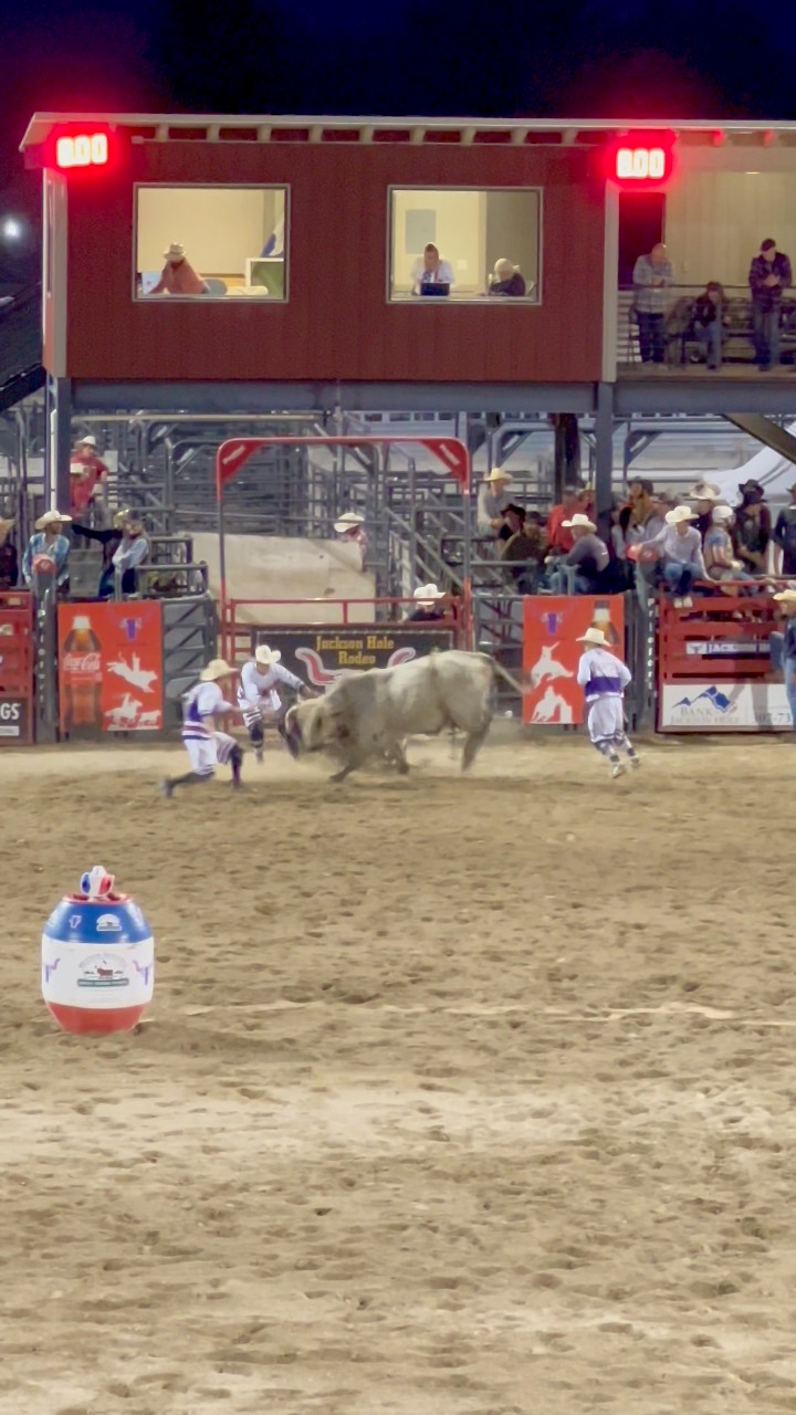 Jackson Hole Rodeo, Jackson, Wyoming, USA 🇺🇸🇺🇸🇺🇸 Have you been ...