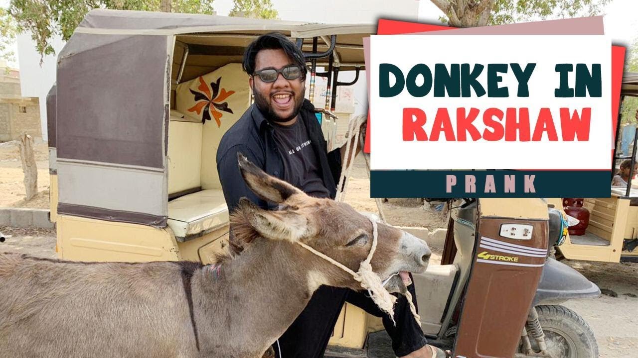 Donkey in Rickshaw | P 4 Pakao | Facebook