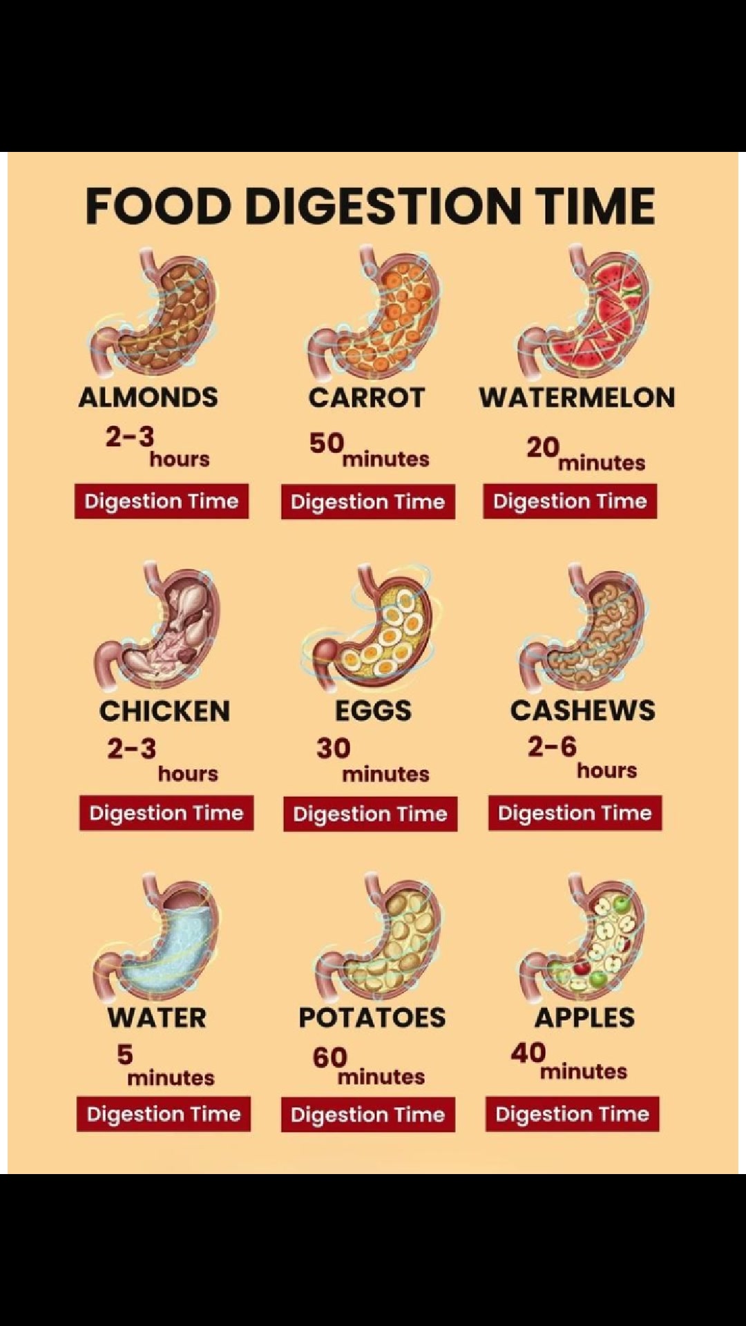 # foods digestion time # | Iwosan aara lododo | Facebook