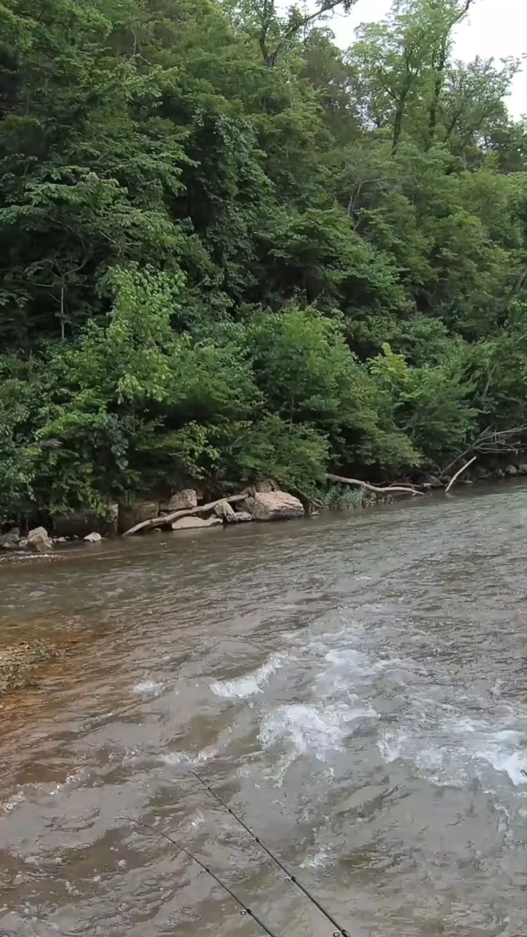 This is Eleven Point River above Greer Spring. We floated from Cane ...