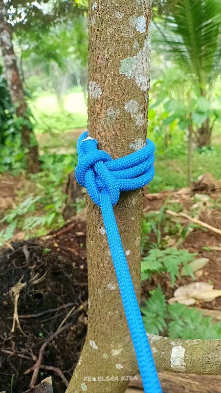Easy, Tough, & Reliable ⚓ #knots #Outdoors #LifeHacks #diyprojects # ...