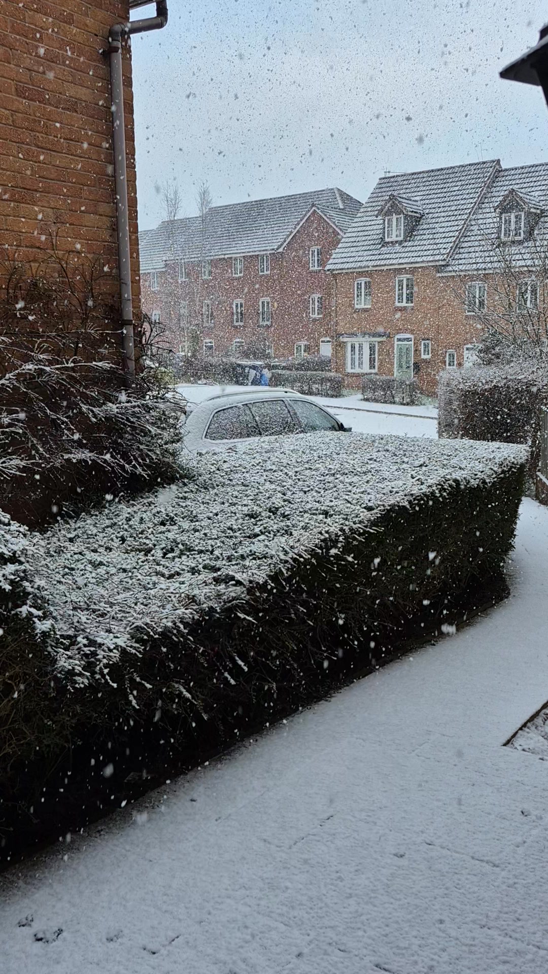 We're not ones to post snow pictures...childish | Denholm Siegertsz