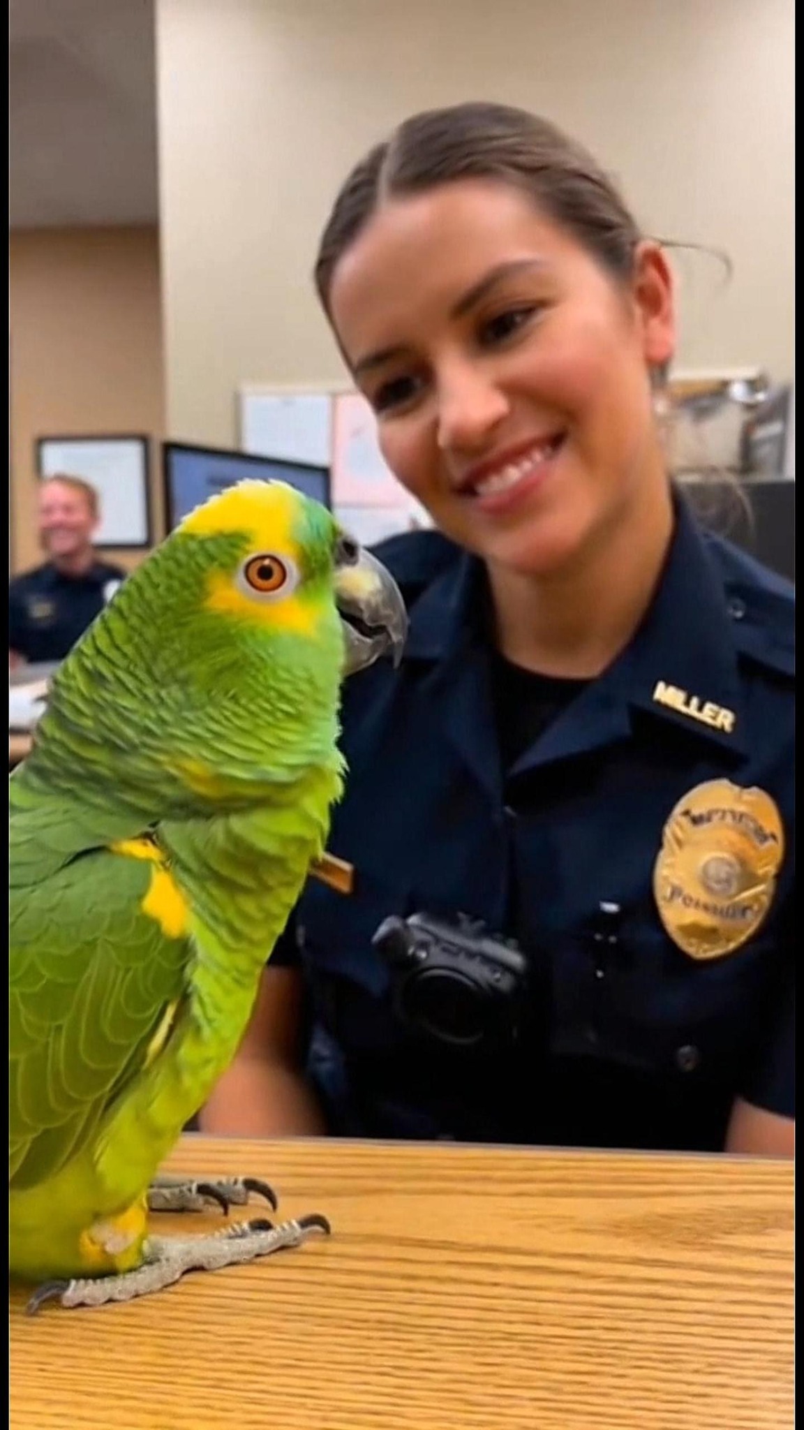 This Indian-English parrot really tried to RIZZ UP the officer 😂🦜🇮🇳 ...