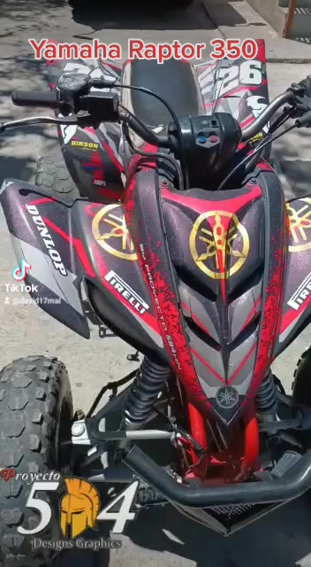 Kit de gráficos stickers para cuatrimoto raptor 350 | Diseño Gráfico ...