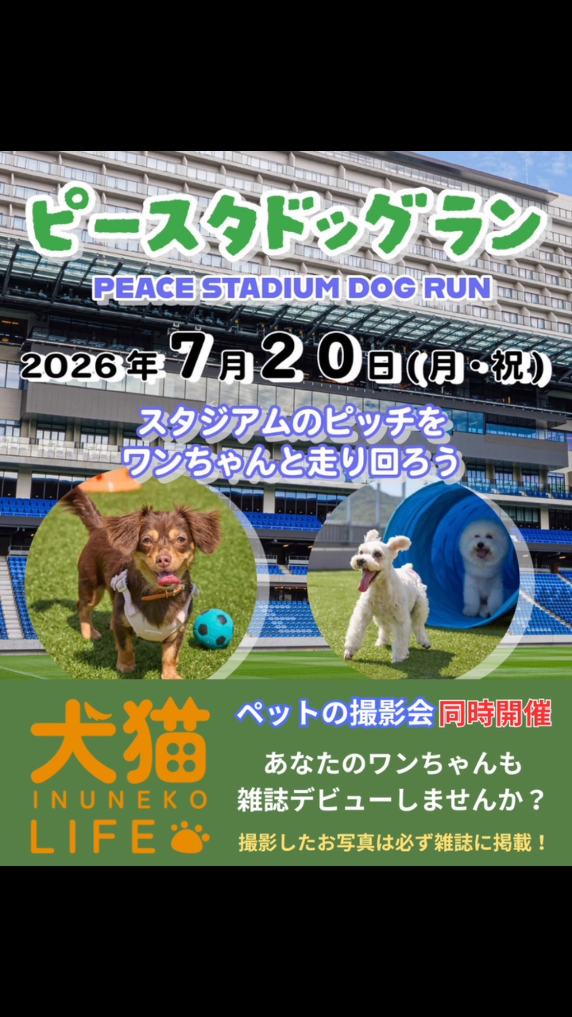 犬猫ライフ