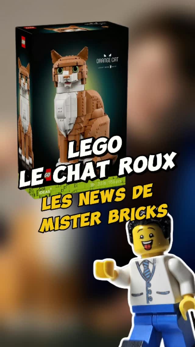 LEGO vient de drop un set… beaucoup trop réaliste : Le Chat Roux LEGO ...