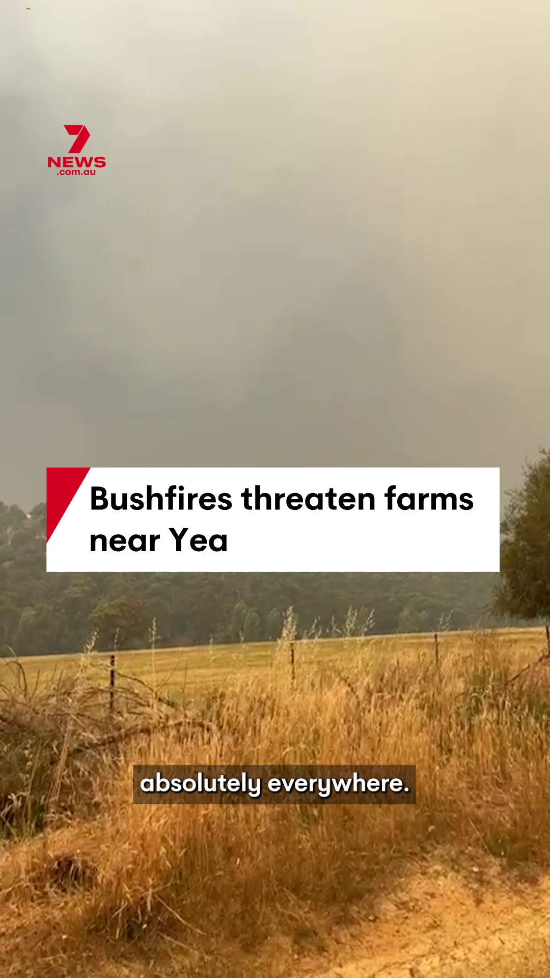 Bushfires have forced farmers in Central Victoria to evacuate, leaving ...