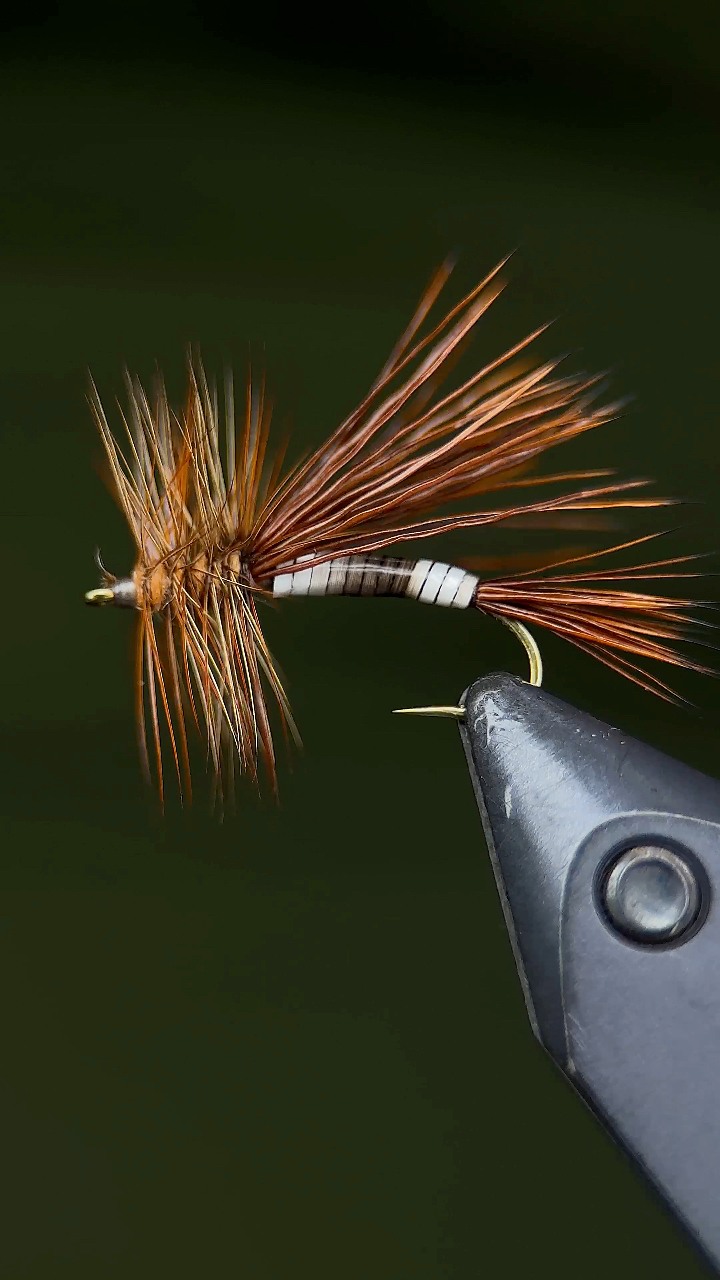 #flytying #fishing #foryoupagereels Materials! Hook: TMC200R Thread ...