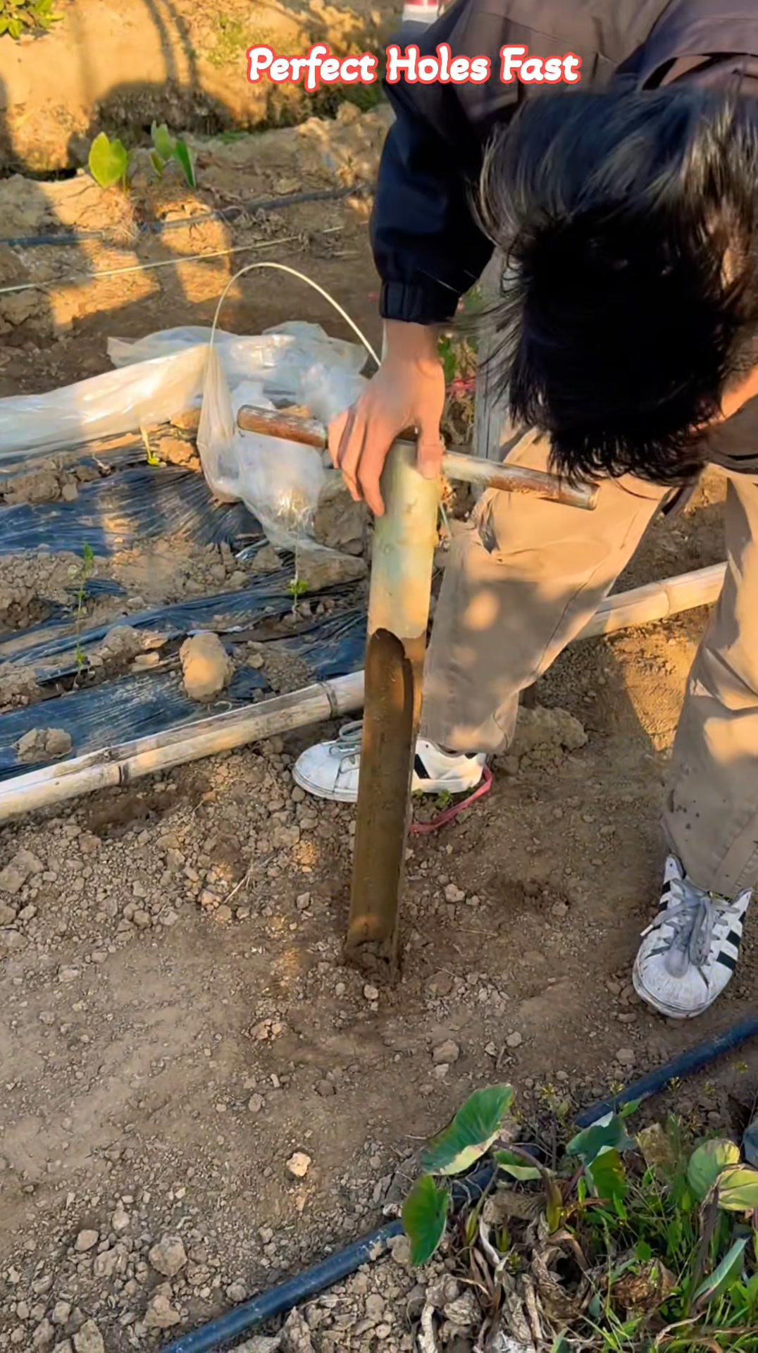 This smart hand tool helps farmers dig deep, clean holes quickly for ...