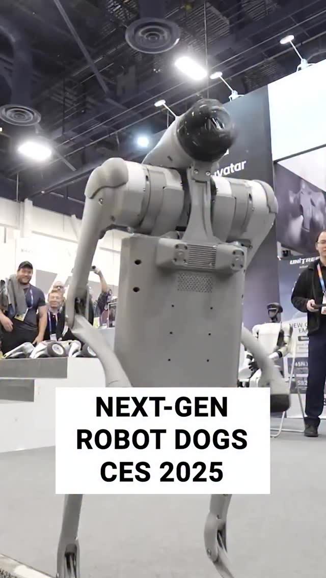 Unitree’s Go1 robot dog features AI human recognition, flexible joints ...