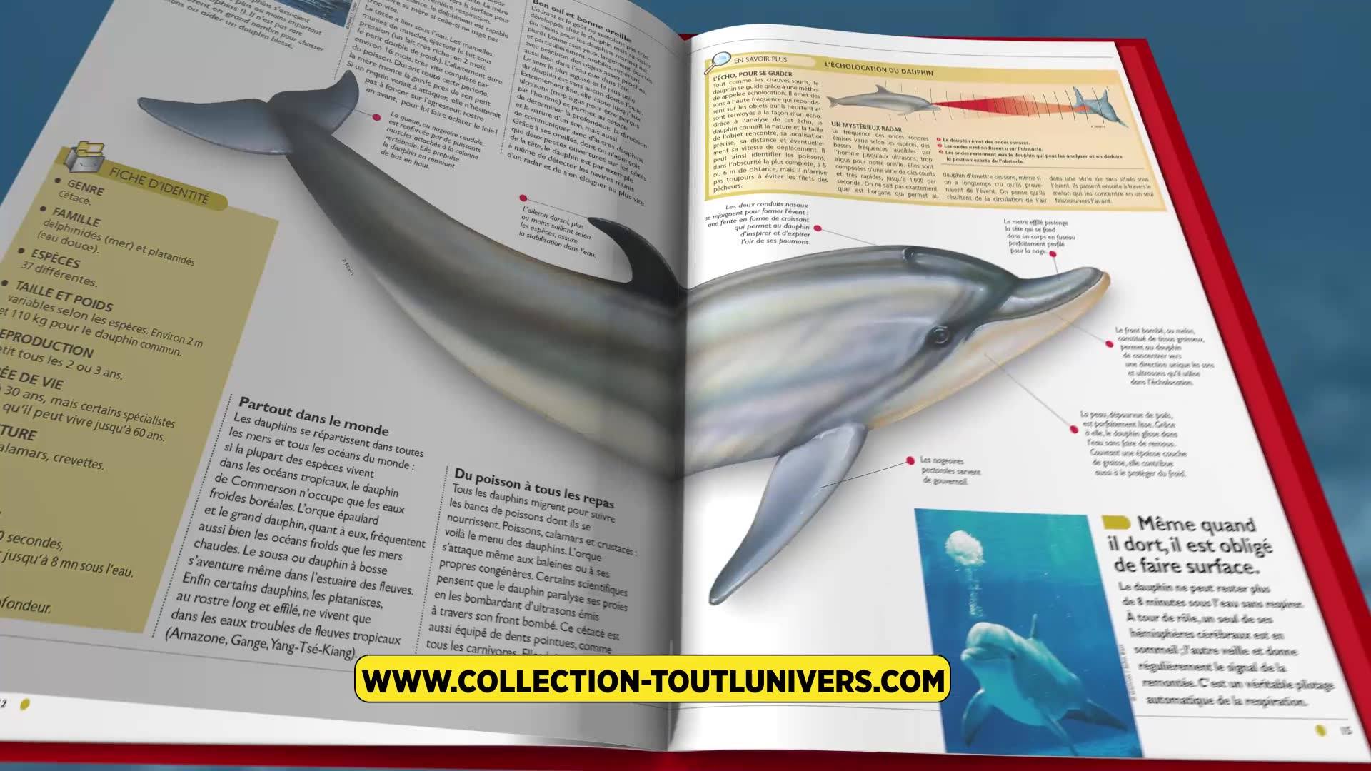 Tout L univers Hachette 2021 Combien De Numéro