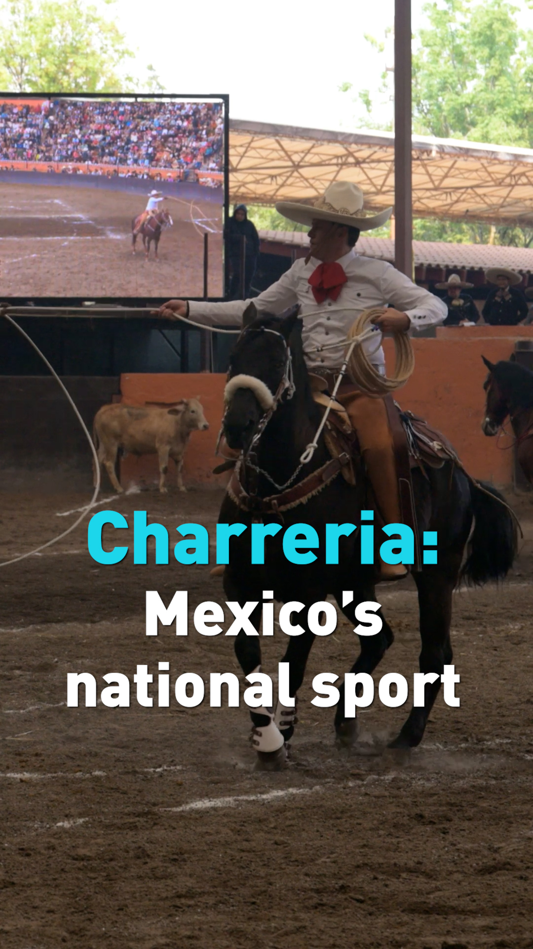 Charreria (rodeo) is the national sport and a cultural tradition in ...