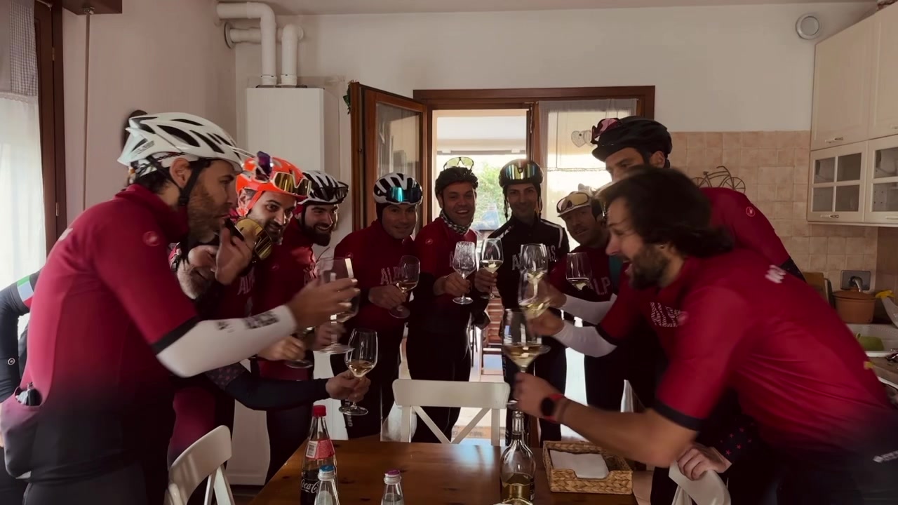 Alpacas Racing Team