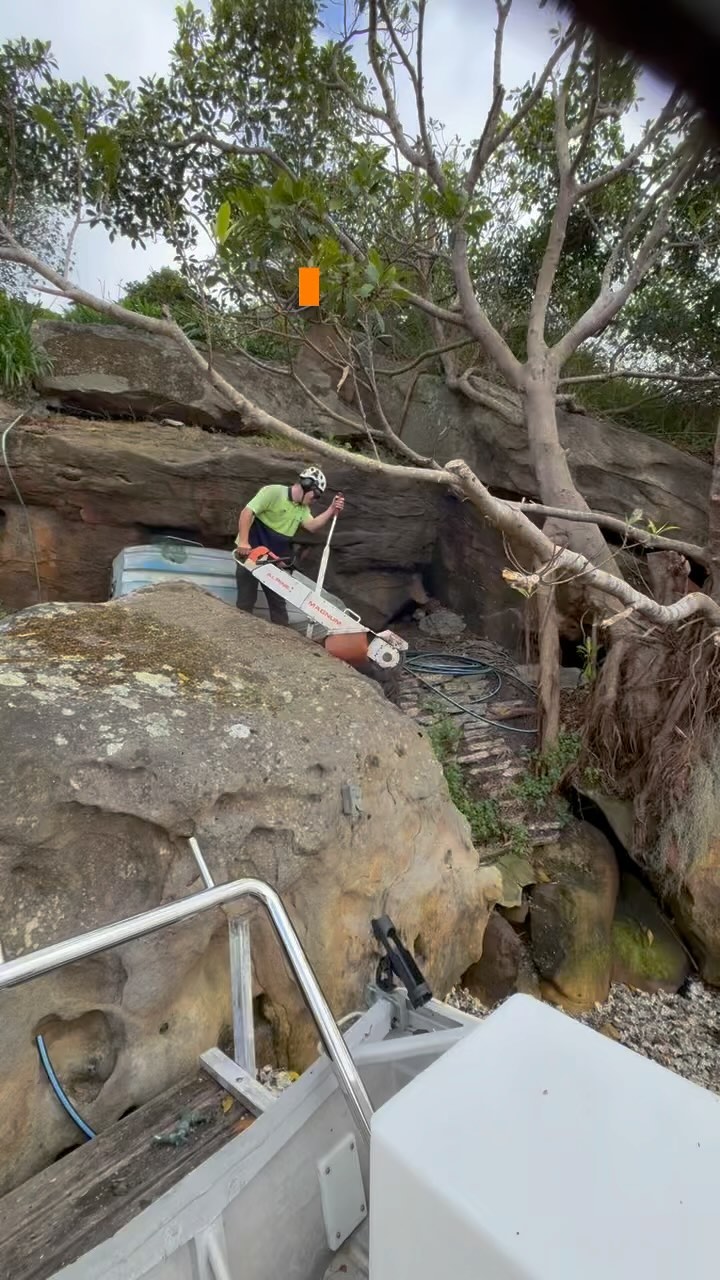 Ideal tree services 0418293951