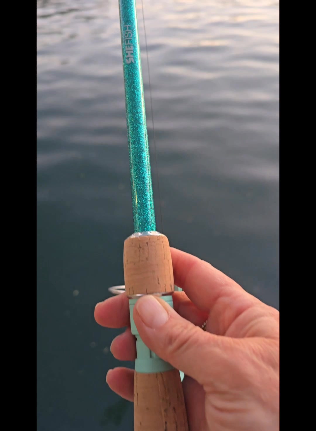 bad fish spinning combo ProFISHiency Big For the challenge of big game fishing 13 Fishing Void Spin Combo,