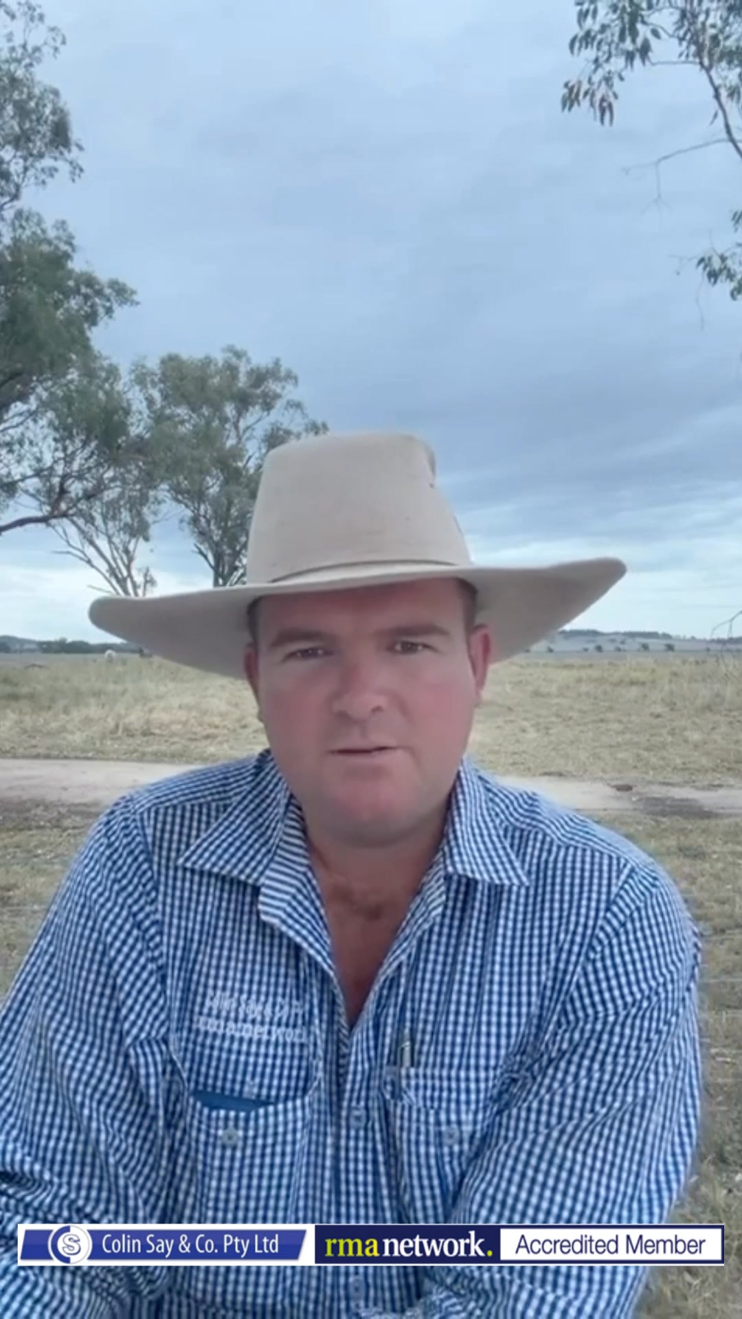 Inverell Market Report Tuesday 3rd February 2026 | Colin Say & Co P/L ...