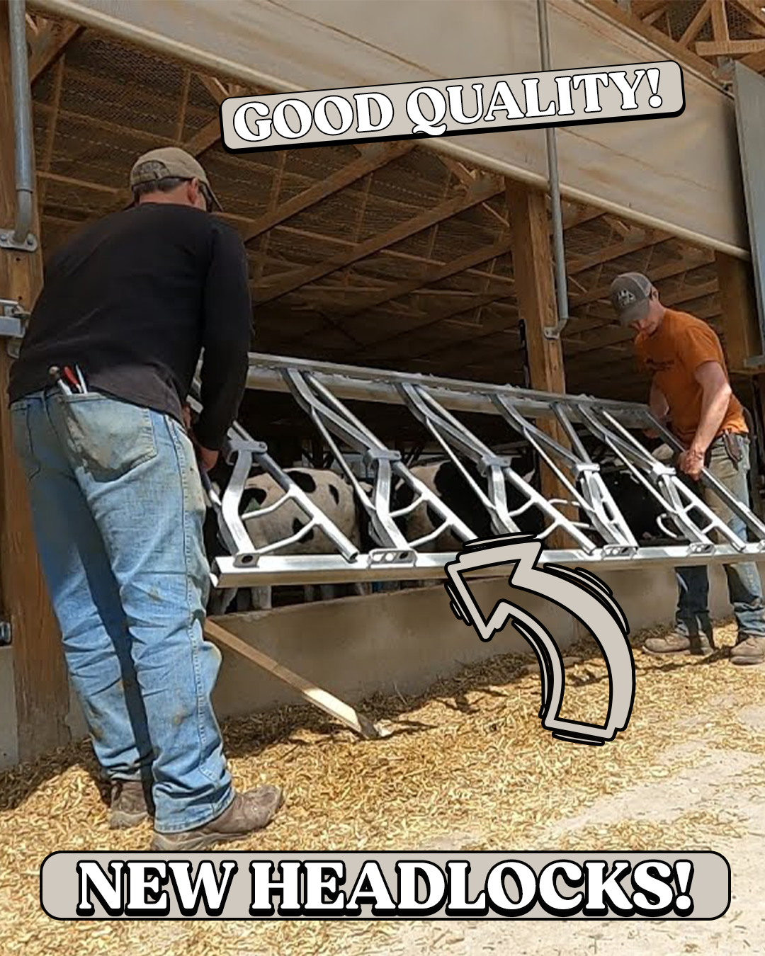 The Most Impressive Harvest Video | The 10th Generation Dairyman | Facebook