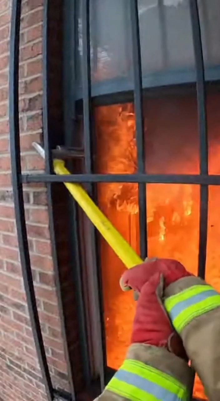 A firefighter rushes to save dogs from a dangerous blaze #rescue #dogs ...