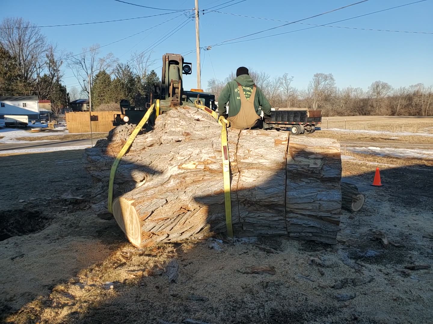 TREE PRO Service llc - Home