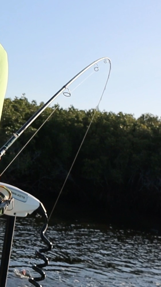 crystal river fishing rod and reel JHFLYCO Creek & Combo – 9'0